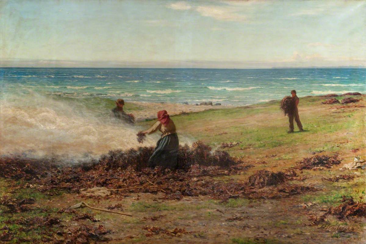 The Kelp Industry The Kelp Industry